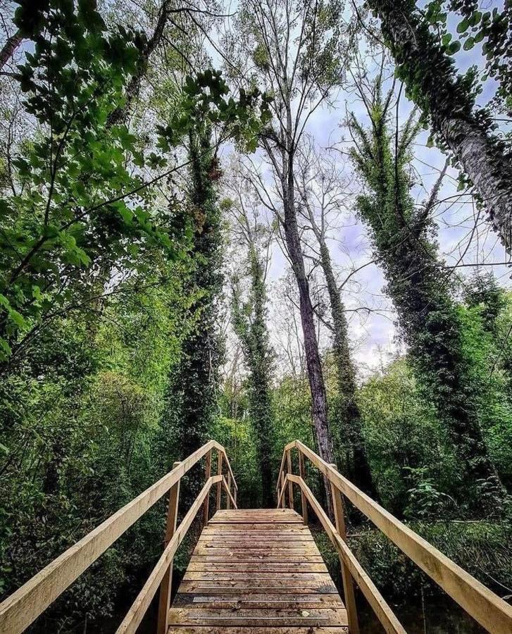 Gite Du Parc Des Mauves Meung-sur-Loire Esterno foto